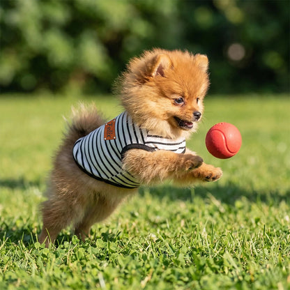 Personalized Pet Summer Striped Shirt | inCloth61